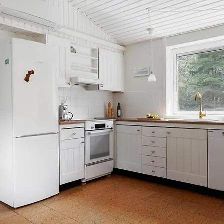 Tatil Evi Tv1339-albaek-egernvej-15